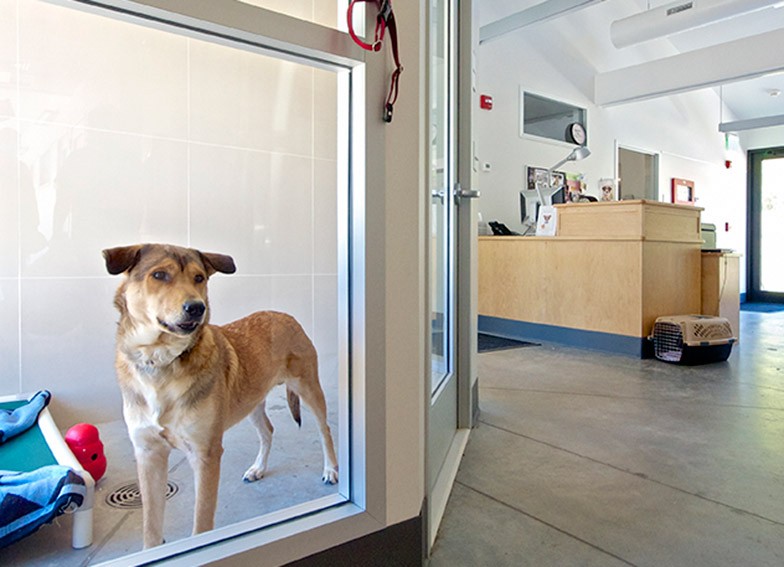 NCSPCA5